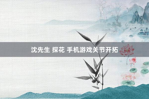 沈先生 探花 手机游戏关节开拓