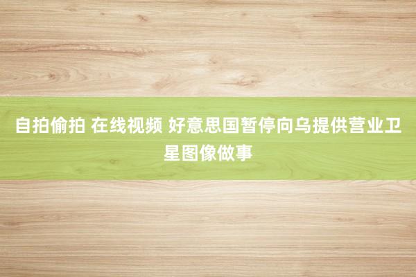 自拍偷拍 在线视频 好意思国暂停向乌提供营业卫星图像做事