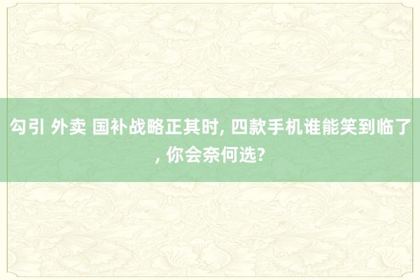 勾引 外卖 国补战略正其时, 四款手机谁能笑到临了, 你会奈何选?
