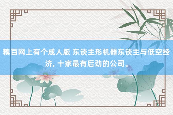 糗百网上有个成人版 东谈主形机器东谈主与低空经济, 十家最有后劲的公司。