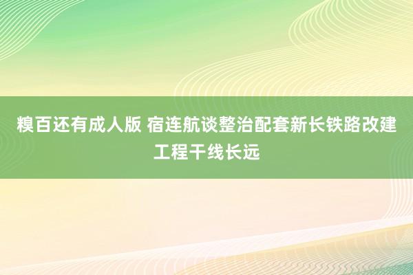 糗百还有成人版 宿连航谈整治配套新长铁路改建工程干线长远