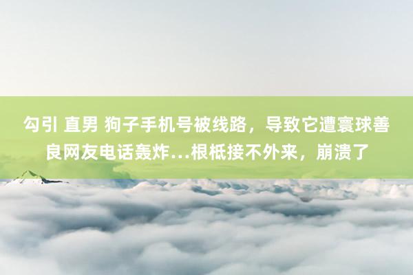 勾引 直男 狗子手机号被线路，导致它遭寰球善良网友电话轰炸…根柢接不外来，崩溃了