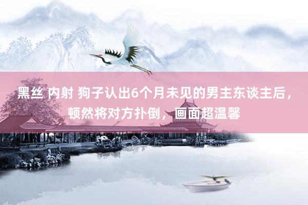 黑丝 内射 狗子认出6个月未见的男主东谈主后，顿然将对方扑倒，画面超温馨